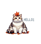 秋の猫ちゃん【かわいい・日常会話】（個別スタンプ：10）