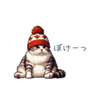 秋の猫ちゃん【かわいい・日常会話】（個別スタンプ：19）