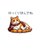 秋の猫ちゃん【かわいい・日常会話】（個別スタンプ：28）