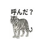 ほっこり＆おちゃめなトラさんスタンプ（個別スタンプ：1）