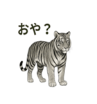 ほっこり＆おちゃめなトラさんスタンプ（個別スタンプ：5）