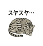 ほっこり＆おちゃめなトラさんスタンプ（個別スタンプ：6）