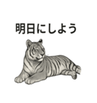 ほっこり＆おちゃめなトラさんスタンプ（個別スタンプ：10）