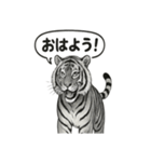 ほっこり＆おちゃめなトラさんスタンプ（個別スタンプ：12）
