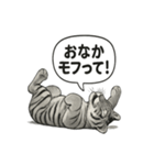 ほっこり＆おちゃめなトラさんスタンプ（個別スタンプ：13）