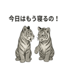 ほっこり＆おちゃめなトラさんスタンプ（個別スタンプ：17）