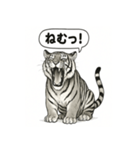 ほっこり＆おちゃめなトラさんスタンプ（個別スタンプ：19）