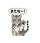 ほっこり＆おちゃめなトラさんスタンプ（個別スタンプ：21）