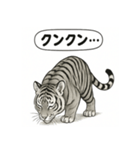 ほっこり＆おちゃめなトラさんスタンプ（個別スタンプ：24）