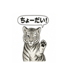 ほっこり＆おちゃめなトラさんスタンプ（個別スタンプ：25）