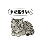 ほっこり＆おちゃめなトラさんスタンプ（個別スタンプ：26）