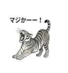 ほっこり＆おちゃめなトラさんスタンプ（個別スタンプ：27）