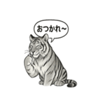 ほっこり＆おちゃめなトラさんスタンプ（個別スタンプ：28）