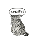 ほっこり＆おちゃめなトラさんスタンプ（個別スタンプ：30）
