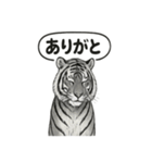 ほっこり＆おちゃめなトラさんスタンプ（個別スタンプ：34）