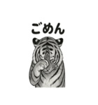 ほっこり＆おちゃめなトラさんスタンプ（個別スタンプ：36）