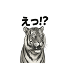 ほっこり＆おちゃめなトラさんスタンプ（個別スタンプ：37）