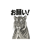 ほっこり＆おちゃめなトラさんスタンプ（個別スタンプ：38）