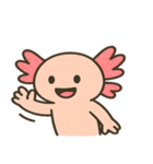 ぷにぷにウーパールーパー@SFW（個別スタンプ：5）