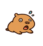 ゆるカピバラのまいにち@SFW（個別スタンプ：3）