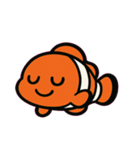 はにかみカクレクマノミ@SFW（個別スタンプ：2）