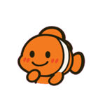 はにかみカクレクマノミ@SFW（個別スタンプ：13）