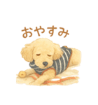 トイプーメルちゃん2（個別スタンプ：3）