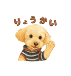 トイプーメルちゃん2（個別スタンプ：5）