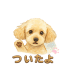 トイプーメルちゃん2（個別スタンプ：8）