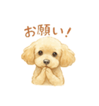 トイプーメルちゃん2（個別スタンプ：11）