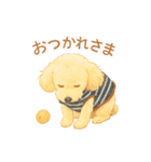 トイプーメルちゃん2（個別スタンプ：13）