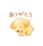 トイプーメルちゃん2（個別スタンプ：26）