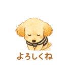 トイプーメルちゃん2（個別スタンプ：31）