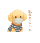 トイプーメルちゃん2（個別スタンプ：40）
