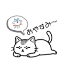シロにゃんのスタンプ（個別スタンプ：6）