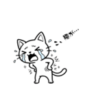 シロにゃんのスタンプ（個別スタンプ：37）