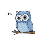 日常で使えるフクロウ達（個別スタンプ：1）