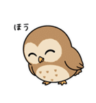 日常で使えるフクロウ達（個別スタンプ：4）