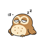 日常で使えるフクロウ達（個別スタンプ：8）