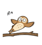 日常で使えるフクロウ達（個別スタンプ：10）