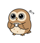 日常で使えるフクロウ達（個別スタンプ：16）