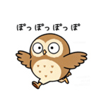 日常で使えるフクロウ達（個別スタンプ：37）