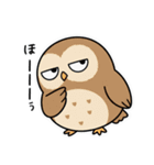日常で使えるフクロウ達（個別スタンプ：38）