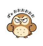 日常で使えるフクロウ達（個別スタンプ：40）