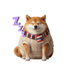 犬達の日常生活 1（個別スタンプ：1）