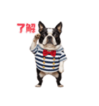 犬達の日常生活 1（個別スタンプ：6）