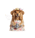 犬達の日常生活 1（個別スタンプ：10）