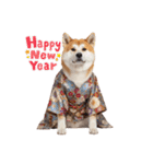 犬達の日常生活 1（個別スタンプ：12）