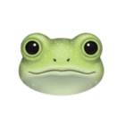 オレサマ・カエル（個別スタンプ：36）