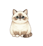 にゃんずたちの日々（個別スタンプ：2）
